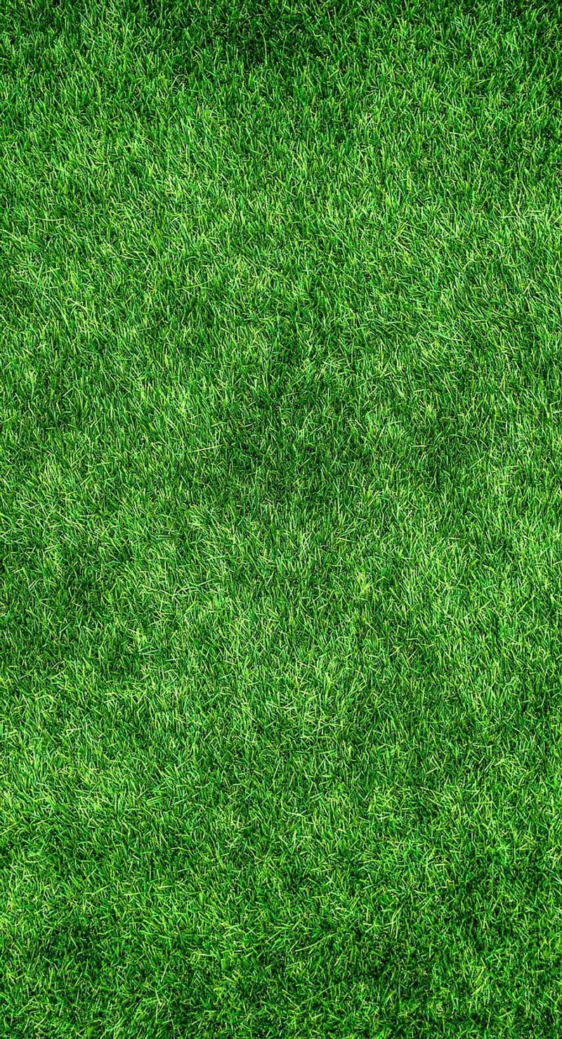 Eco-Friendly Events